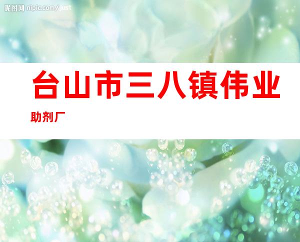 台山市三八镇伟业助剂厂